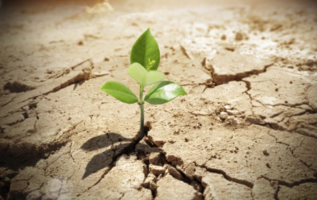 Finding Hope in a Loveless Place